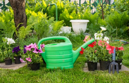 A garden scene featuring a well-maintained lawn with lush, green grass in the foreground, bordered by a variety of potted flowering plants including pink, purple, and white blooms. Behind the flower pots, there are dense green ferns and leafy bushes growing alongside a mature tree with a textured trunk, adding height and shade. In the background, a white decorative garden planter is placed on a bed of foliage, with additional greenery and trees creating a natural, lush environment. The scene suggests a tidy, landscaped outdoor space suitable for gardening and outdoor activities, with tools such as a green watering can and small gardening fork visible, indicating active care and maintenance provided by local landscapers, possibly in South Kensington. The weather appears bright and sunny, contributing to the vivid colors and healthy appearance of the plants.