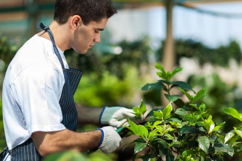 A young male gardener working in an outdoor garden area in South Kensington, surrounded by lush green plants and shrubs. He is wearing a white t-shirt, an apron, and white gardening gloves while carefully tending to a leafy plant. The garden features a well-maintained lawn with dense grass, a gravel or paved pathway, and green foliage in the background, including trees and a hedge. Natural sunlight illuminates the scene, indicating clear weather. The image reflects professional gardening services that include plant care, landscape maintenance, and outdoor garden improvements, aligning with the expertise of Landscapers South Kensington and their fencing or garden enhancement projects.