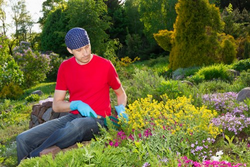 A man wearing a blue knitted hat, red t-shirt, and light blue gloves is tending to a lush garden with a variety of flowering plants and shrubs. The garden features a well-maintained flower bed with a mix of yellow, pink, and purple blooms, bordered by low-growing green plants. In the background, dense trees and tall bushes provide natural privacy and a scenic backdrop. The scene is set outdoors on a bright day with natural sunlight illuminating the vibrant greenery and colorful flowers, indicating a peaceful and well-kept landscaped yard typical of outdoor gardening services in south Kensington. The man appears to be engaged in planting or maintenance work, contributing to the garden's tidy and attractive appearance.
